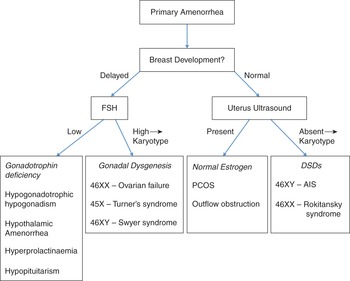 Chapter 8B – Primary Amenorrhea In Pediatric And Adolescent Gynecology ...