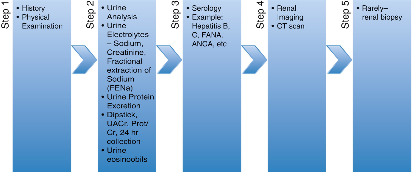 ../images/393995_1_En_11_Chapter/393995_1_En_11_Fig3_HTML.png