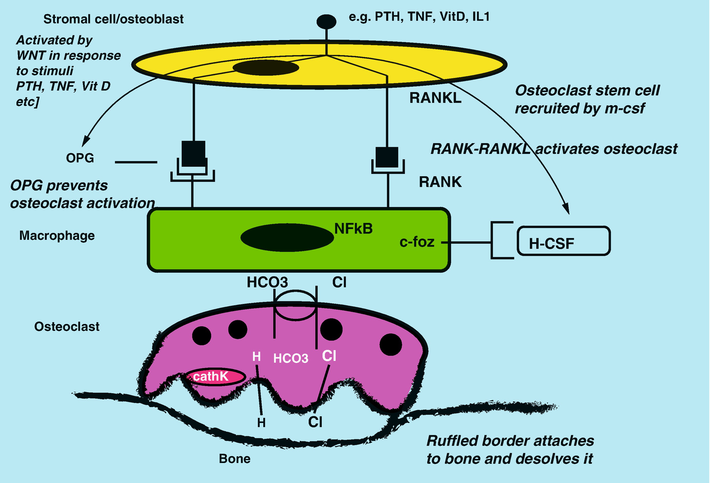 ../images/393995_1_En_18_Chapter/393995_1_En_18_Fig2_HTML.png