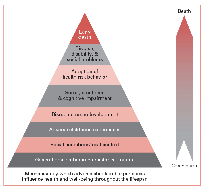 Adverse Childhood Experiences: Trauma-Informed Care | Obgyn Key