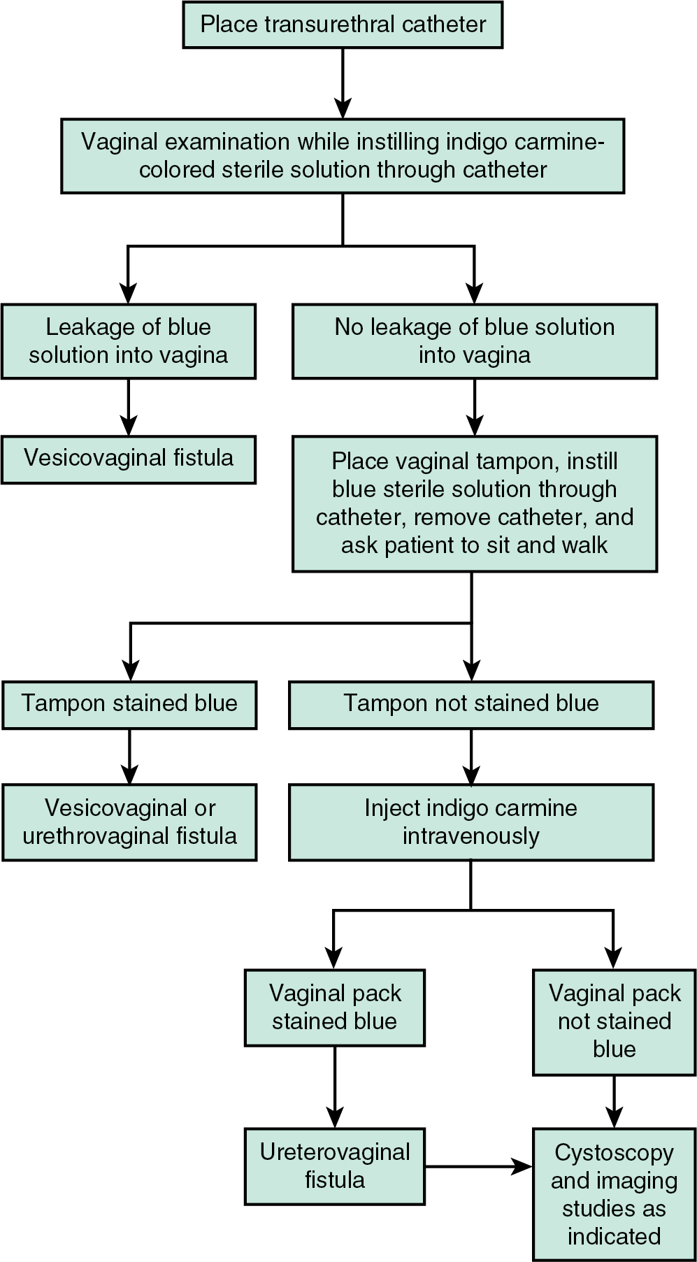 Avoiding And Managing Lower Urinary Tract Injuries During Pelvic ...