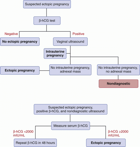 Ectopic And Heterotopic Pregnancies | Obgyn Key