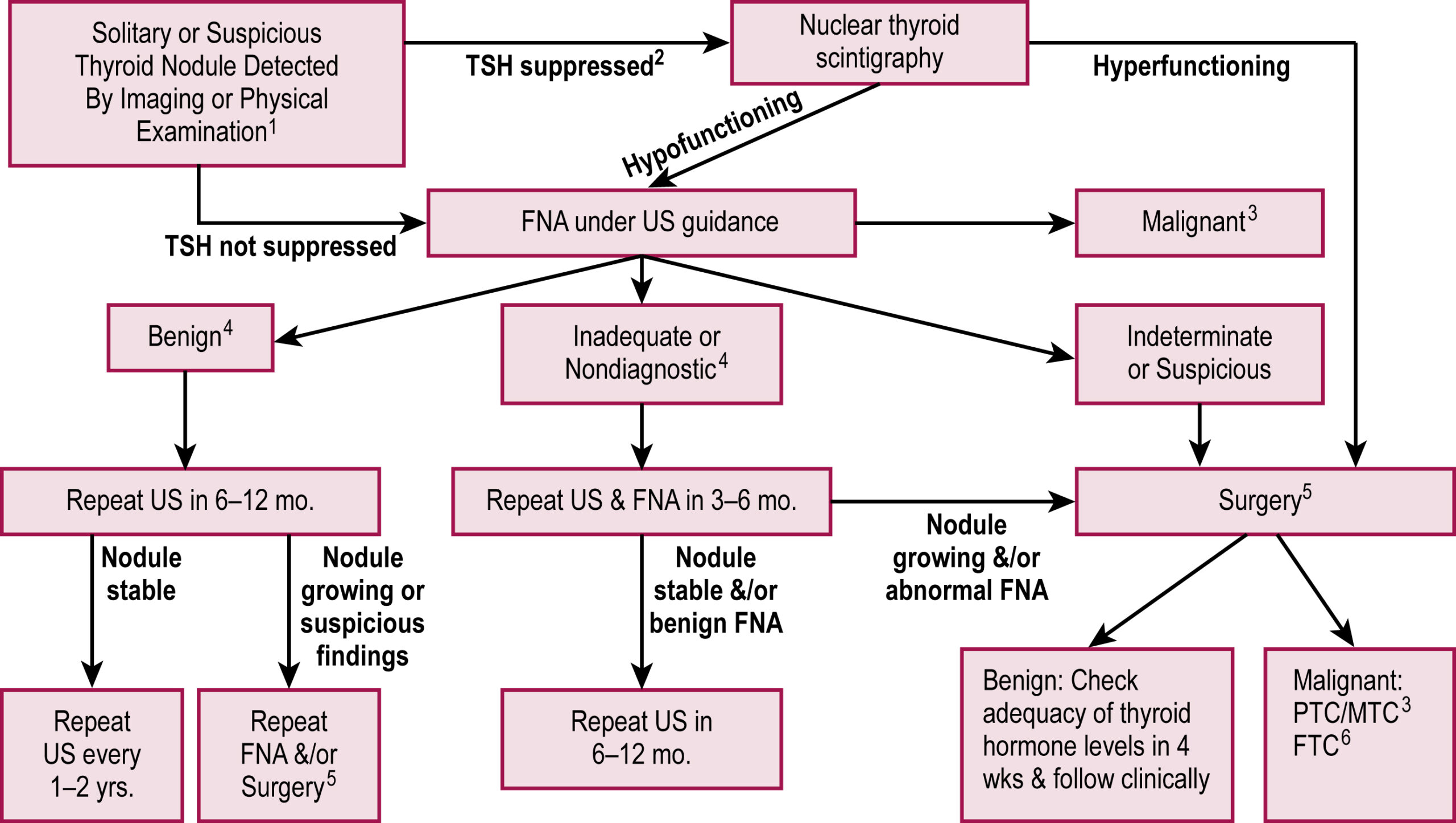 A clinical flowchart outlines the evaluation and management of thyroid nodules based on thyroid stimulating hormone levels, ultrasound features, and biopsy results. The flowchart illustrates a clinical decision-making pathway for the evaluation and management of solitary or suspicious thyroid nodules detected by imaging or physical examination. The process begins with thyroid-stimulating hormone measurement. If thyroid-stimulating hormone is suppressed, a nuclear thyroid scintigraphy is performed. If the nodule is hyperfunctioning, it is considered benign or malignant, and surgery is recommended if malignant. If thyroid-stimulating hormone is not suppressed, fine needle aspiration under ultrasound guidance is performed. Based on cytology, pathways include benign, inadequate or nondiagnostic, indeterminate or suspicious, or malignant findings. Benign nodules are monitored with ultrasound every six to twelve months or one to two years. Suspicious or growing nodules are rebiopsied or referred for surgery. Indeterminate nodules that are growing or abnormal are also referred for surgery. Malignant nodules, such as papillary thyroid carcinoma or follicular thyroid carcinoma, proceed to surgery.