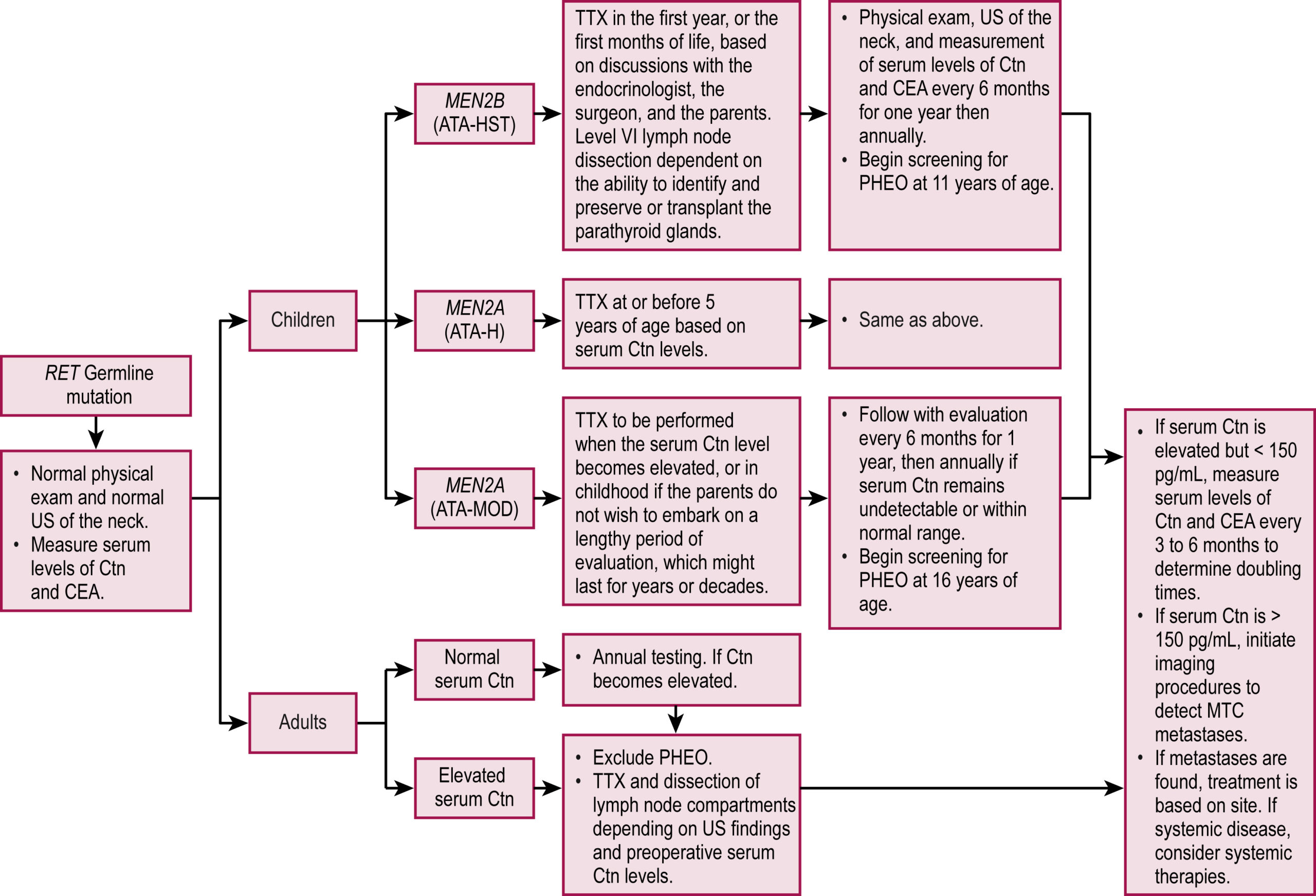 A clinical flowchart outlines R E T germline mutation management in children and adults based on serum calcitonin levels, M E N subtype, and timing of prophylactic thyroidectomy. The flowchart provides a detailed clinical management strategy for individuals with R E T germline mutations, divided into children and adults. For children, three M E N subtypes guide intervention. For M E N two B A T A highest, total thyroidectomy is recommended in the first year of life, based on expert consultation and assessment of parathyroid and lymph node dissection needs. For M E N two A A T A high, surgery is advised before age five or based on serum calcitonin levels. For M E N two A A T A moderate, thyroidectomy is delayed until serum calcitonin becomes elevated, balancing benefits with timing and family consultation. Ongoing evaluations include physical examination, ultrasound, and measurements of serum calcitonin and carcinoembryonic antigen every six months, with annual pheochromocytoma screening beginning at age eleven. For adults with R E T mutation and normal serum calcitonin, annual testing continues until elevation occurs. If serum calcitonin is elevated, pheochromocytoma must be excluded and total thyroidectomy with or without lymph node dissection is recommended depending on ultrasound and serum marker findings. Additional boxed guidance notes that when serum calcitonin is above one hundred fifty picograms per milliliter, regional imaging is required, and if structural disease is found, treatment mimics medullary thyroid carcinoma management. If calcitonin remains persistently elevated without structural disease, periodic imaging and consideration of systemic therapy are advised.